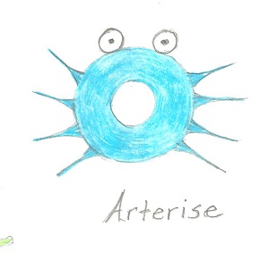 Arterise