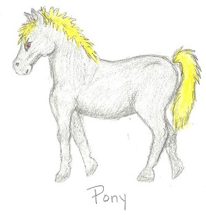 Pony