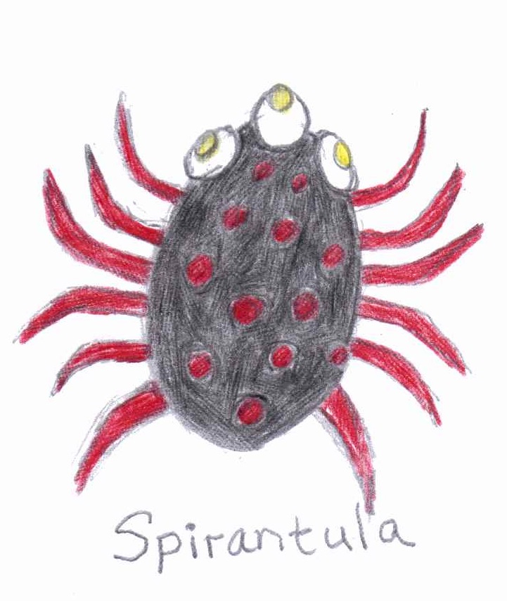 Spirantula