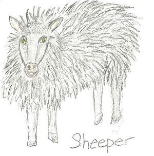 Sheeper